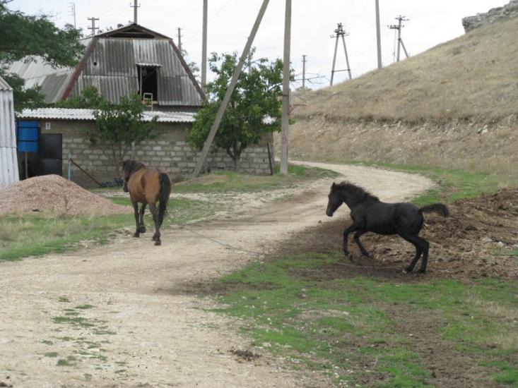 Живописне з panoramio.com - Живописне