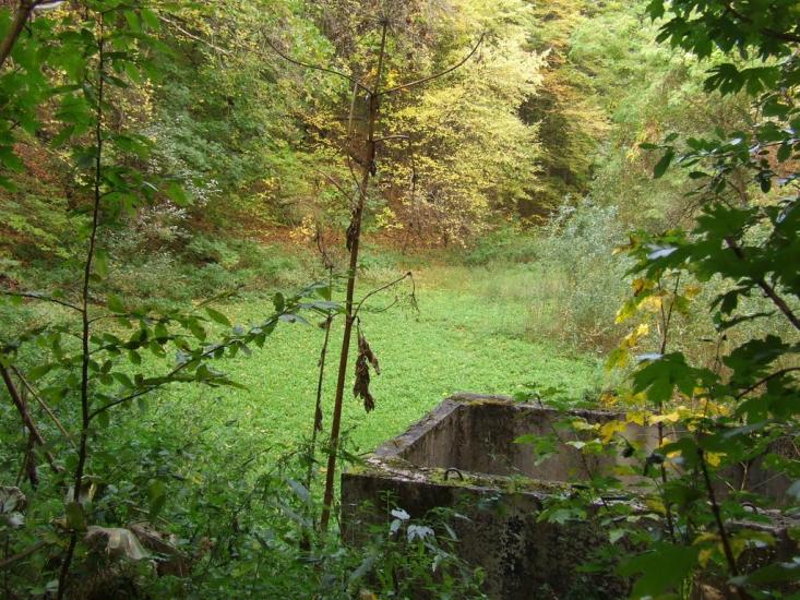 Теребовля з panoramio.com - Теребовля