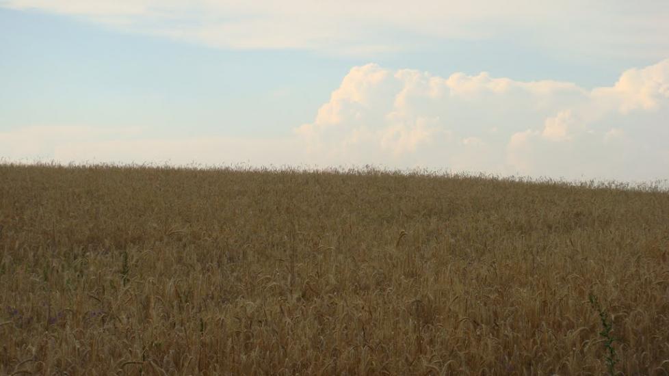 Лубенці з panoramio.com - Лубенцы