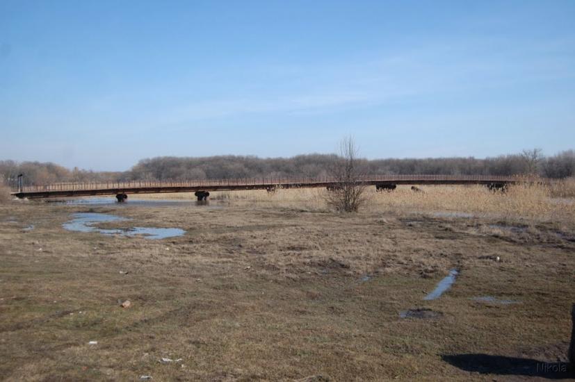 Новопсков з panoramio.com - Новопсков
