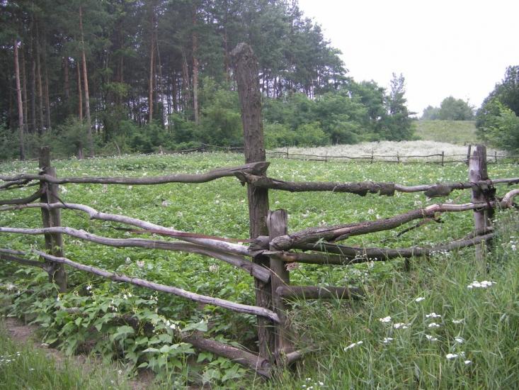 Бездрик з panoramio.com - Бездрик