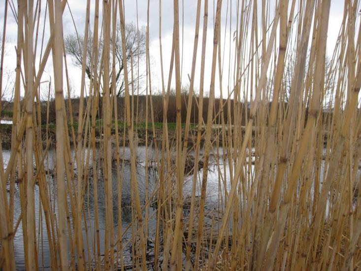 Березець з panoramio.com - Березець