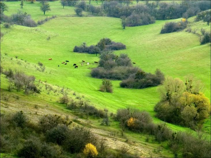 Костянтинівка з panoramio.com - Konstantinovka