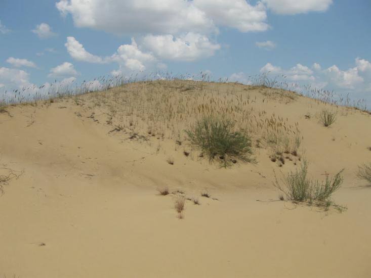 Великі Копані з panoramio.com - Великие Копани