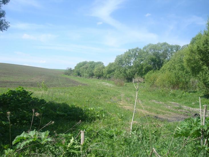 Мацьківці з panoramio.com - Мацьківці