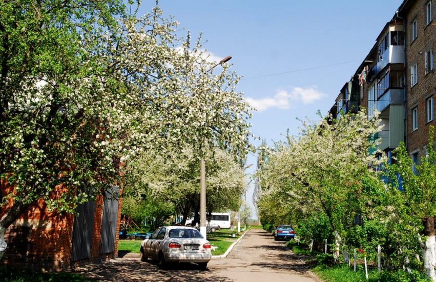 Узин з panoramio.com - Узин