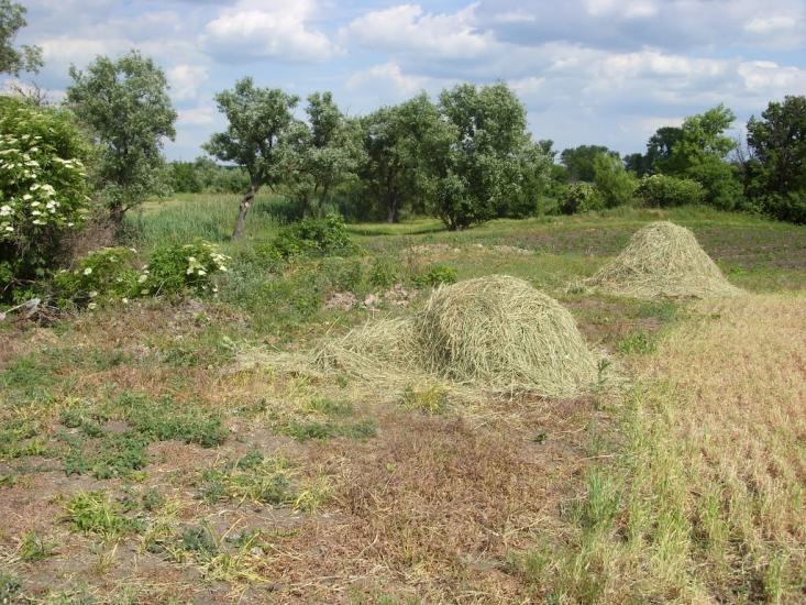 Новгородка з panoramio.com - Новгородка