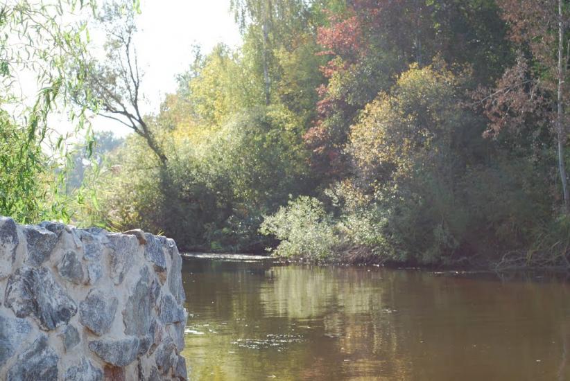 Шабельники з panoramio.com - Шабельники