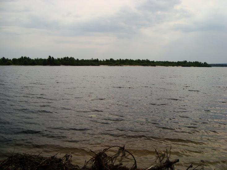 Прохорівка з panoramio.com - Прохорівка