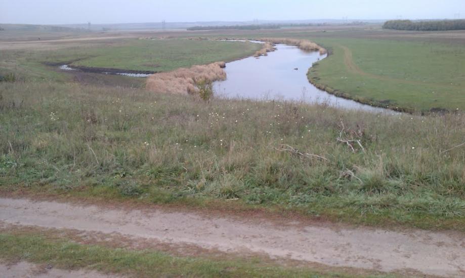 Кам'янка з panoramio.com - Кам'янка