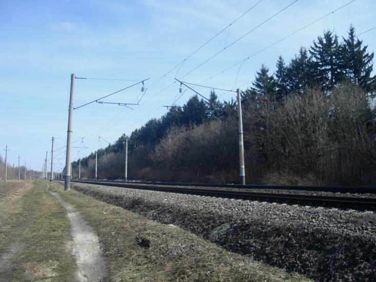 Радівці з panoramio.com - Радовцы
