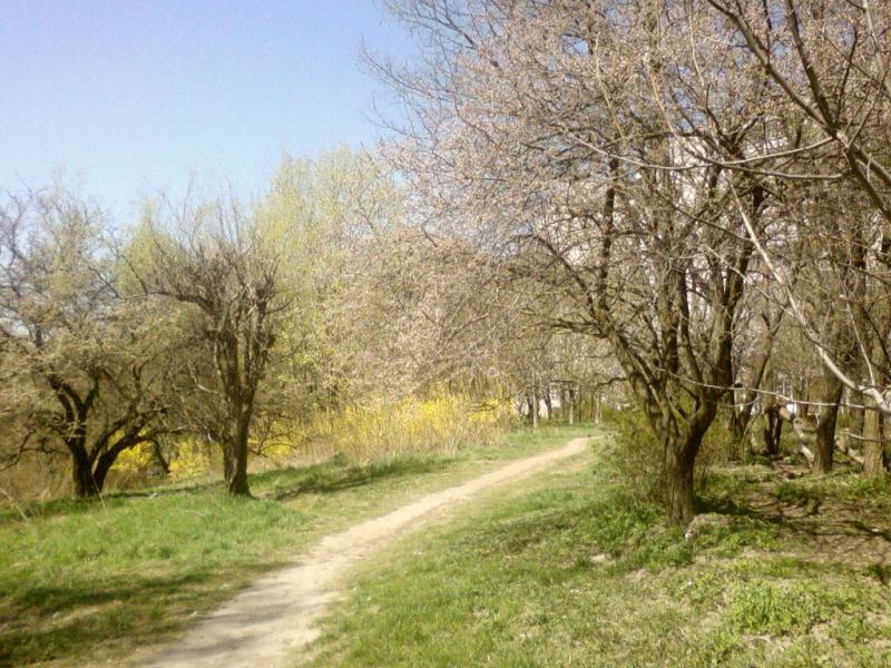 Полонка з panoramio.com - Полонка