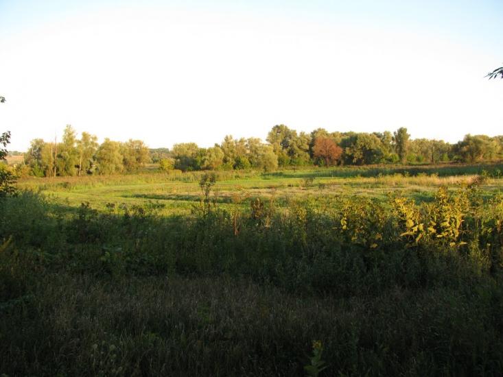 Рогань з panoramio.com - Rogan