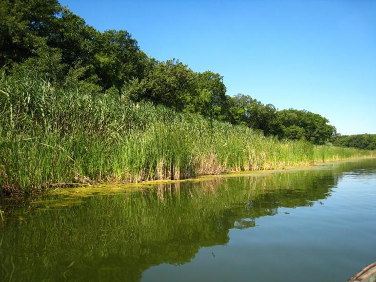 Нижнє з panoramio.com - Nyzhnye