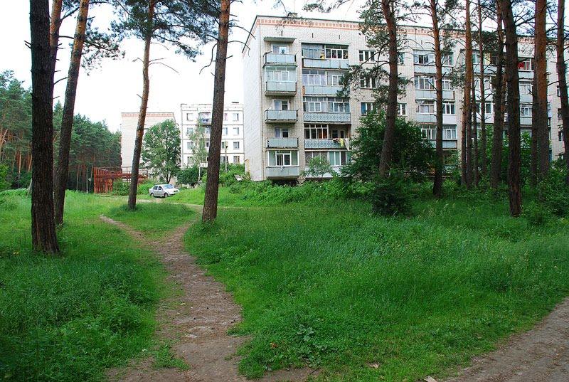 Довжик з panoramio.com - Довжик