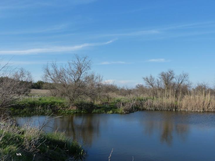 Саги з panoramio.com - Саги