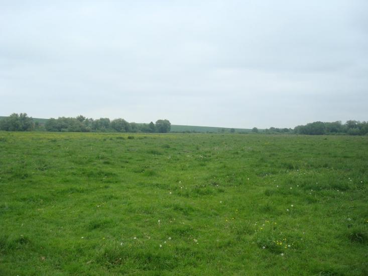 Малашівці з panoramio.com - Малашевцы
