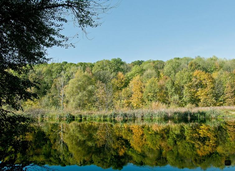 Старий Мерчик з panoramio.com - Старий Мерчик