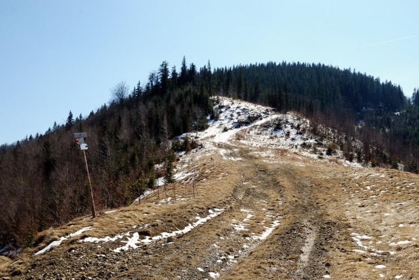 Букове з panoramio.com - Букове