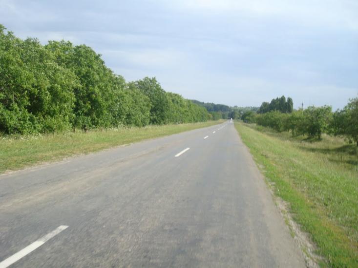 Подолянське з panoramio.com - Подолянское