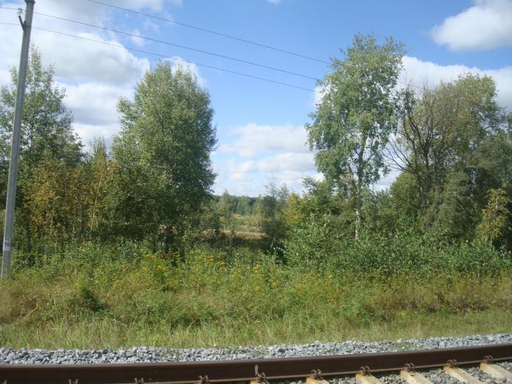 Михайлючка з panoramio.com - Михайлючка