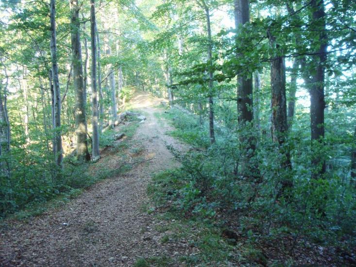 Красна з panoramio.com - Krasna