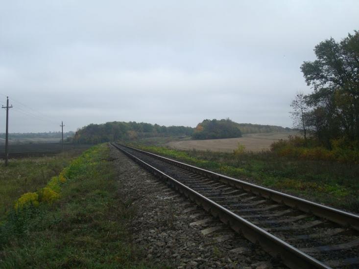 Буйволівці з panoramio.com - Буйволовцы