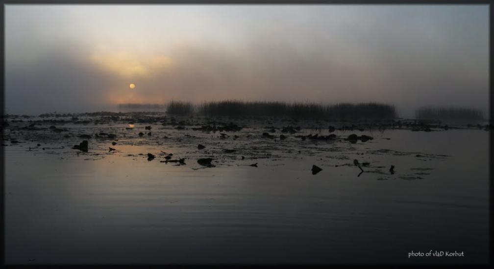 Щитинська Воля з panoramio.com - Щитинська Воля