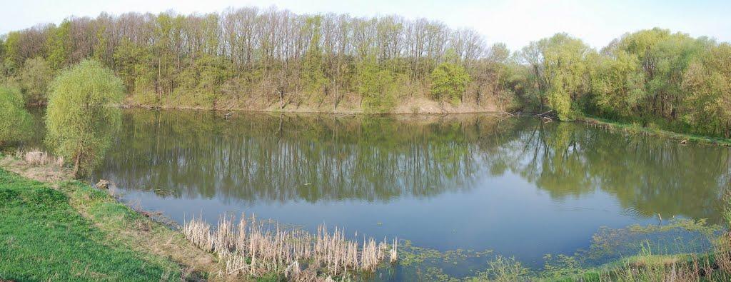 Заїченці з panoramio.com - Заїченці