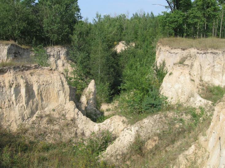 Словечне з panoramio.com - Словечне