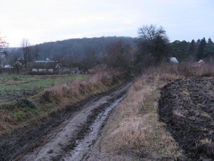 Вакалівщина з panoramio.com - Вакаловщина