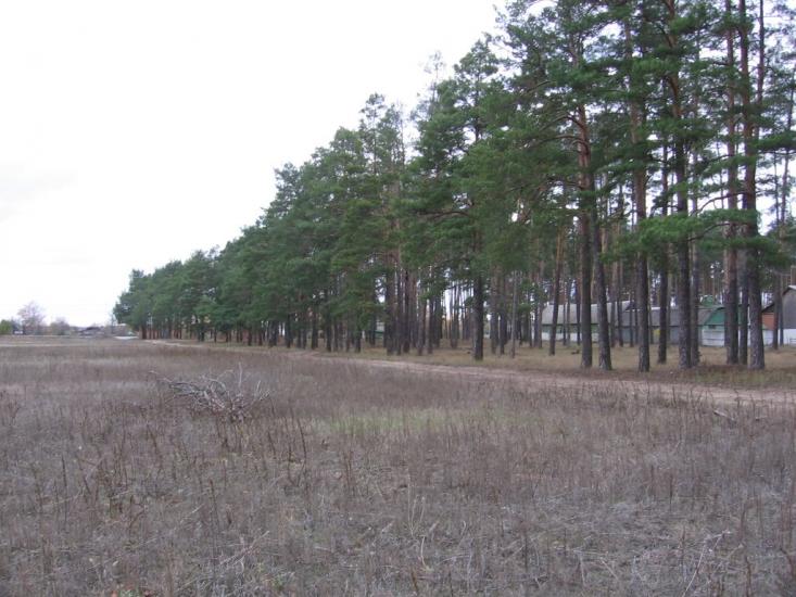 Мигалки з panoramio.com - Mygalky