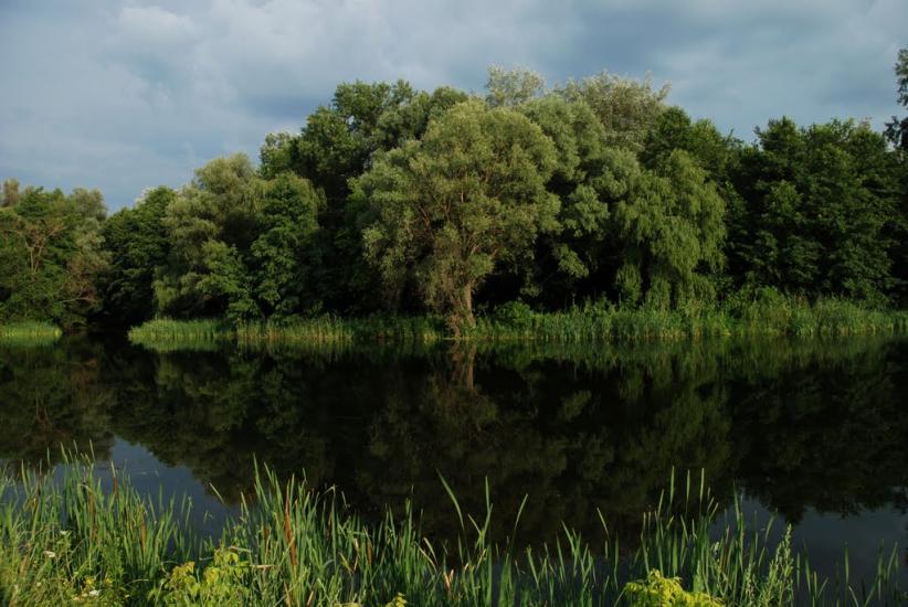 Червоний Оскіл з panoramio.com - Червоний Оскіл