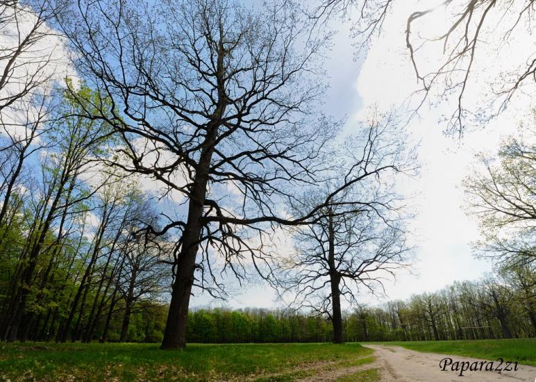 Люботин з panoramio.com - Люботин