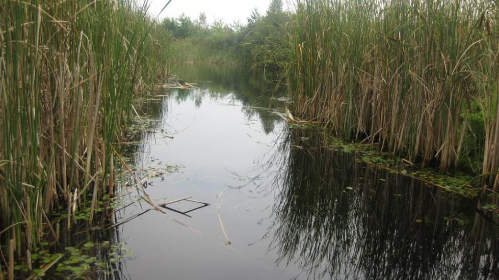 Велимче з panoramio.com - Велимче