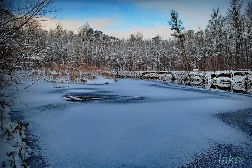 Тригір'я з panoramio.com - Тригорье