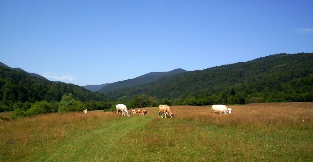 Крушельниця з panoramio.com - Крушельница