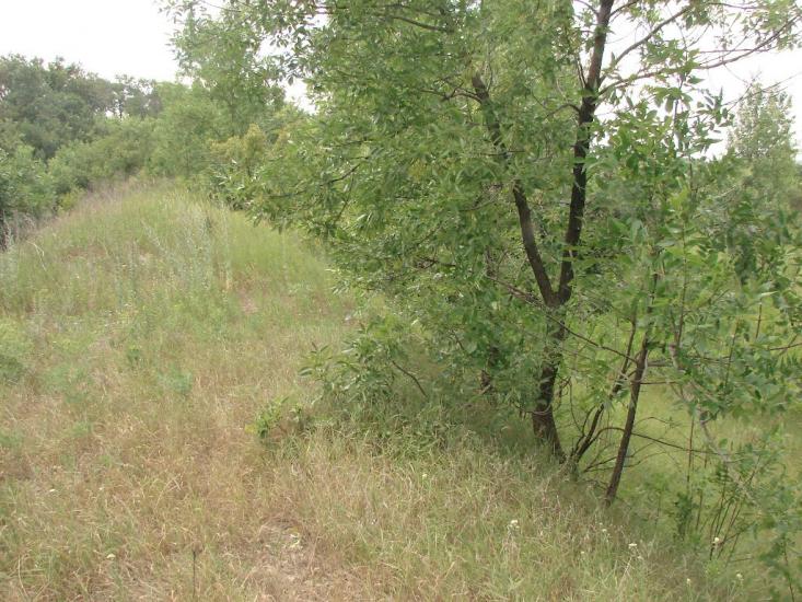 Новий Донбас з panoramio.com - Novyy Donbas