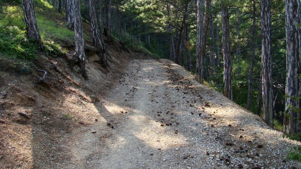 Відрадне з panoramio.com - Отрадное