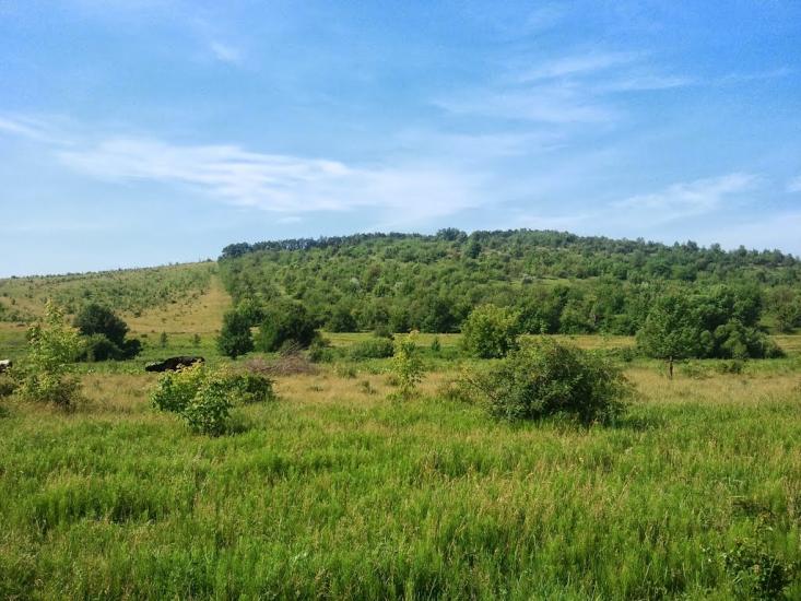 Новоукраїнка з panoramio.com - Новоукраїнка