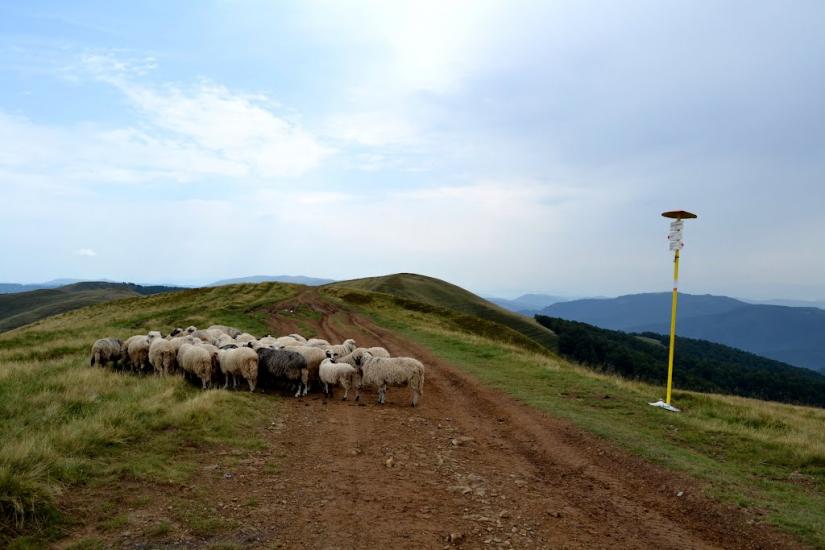 Руська Мокра з panoramio.com - Русская Мокрая