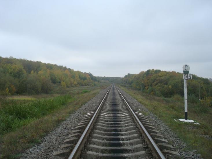 Буйволівці з panoramio.com - Буйволовцы