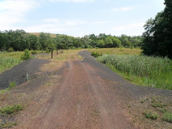 Княгинівка з panoramio.com - Княгиневка