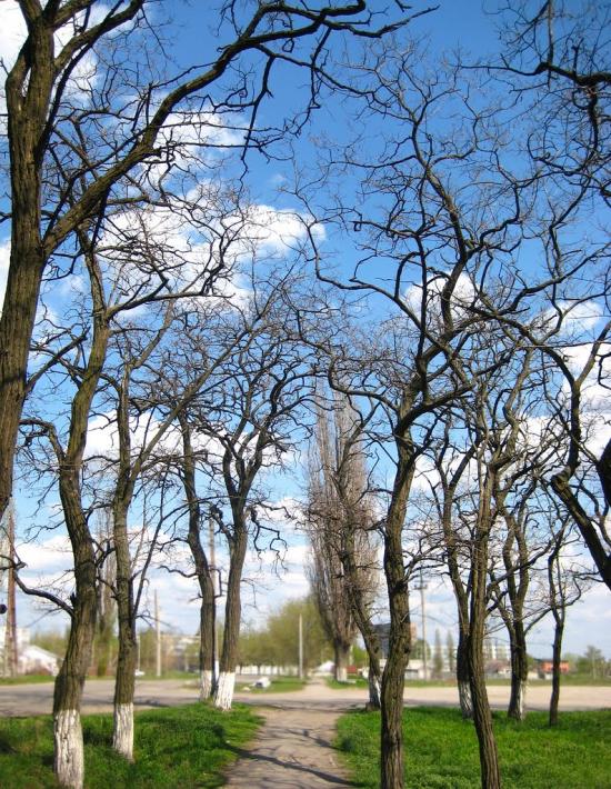 Власівка з panoramio.com - Власовка