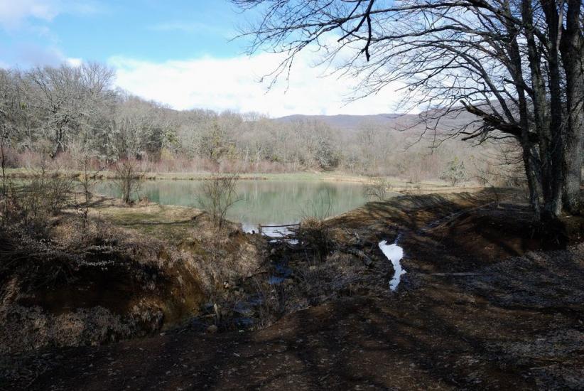 Поляна з panoramio.com - Поляна