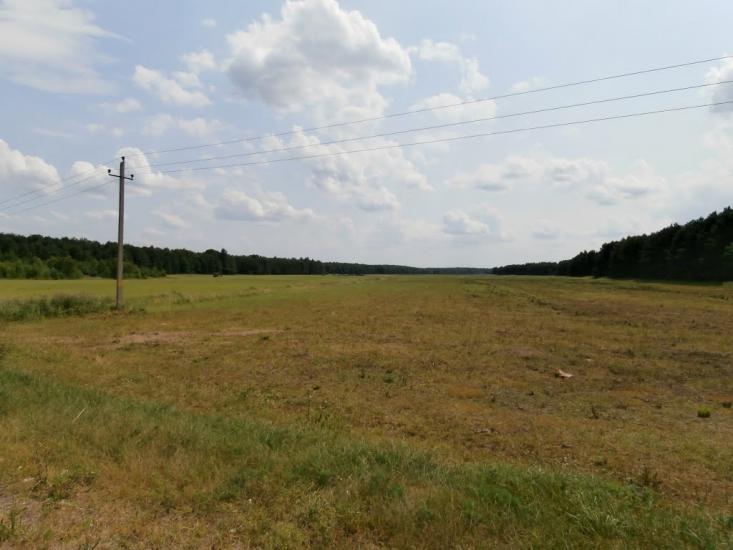 Ниговищі з panoramio.com - Ниговищи