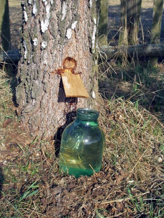 Вільхова з panoramio.com - Вільхова