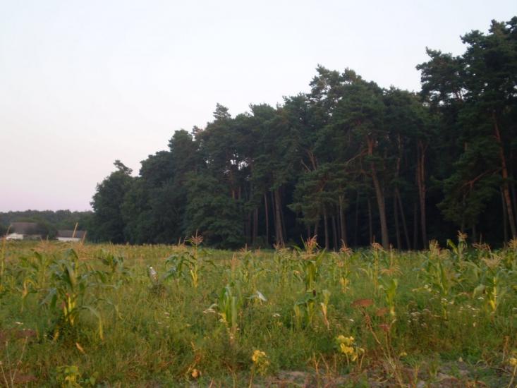 Селище з panoramio.com - Селище