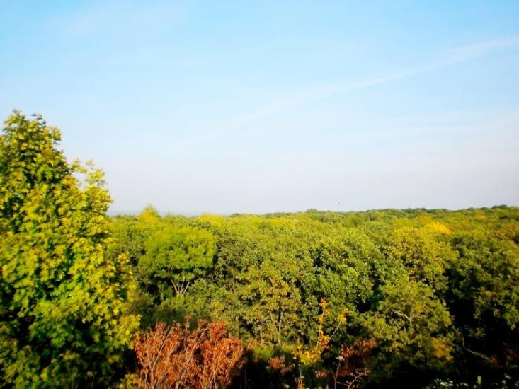 Введенка з panoramio.com - Введенка