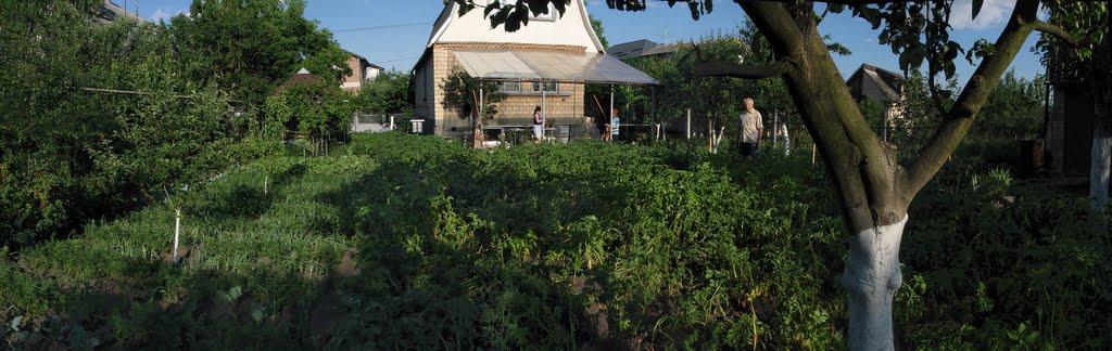 Іванковичі з panoramio.com - Ivankovychi